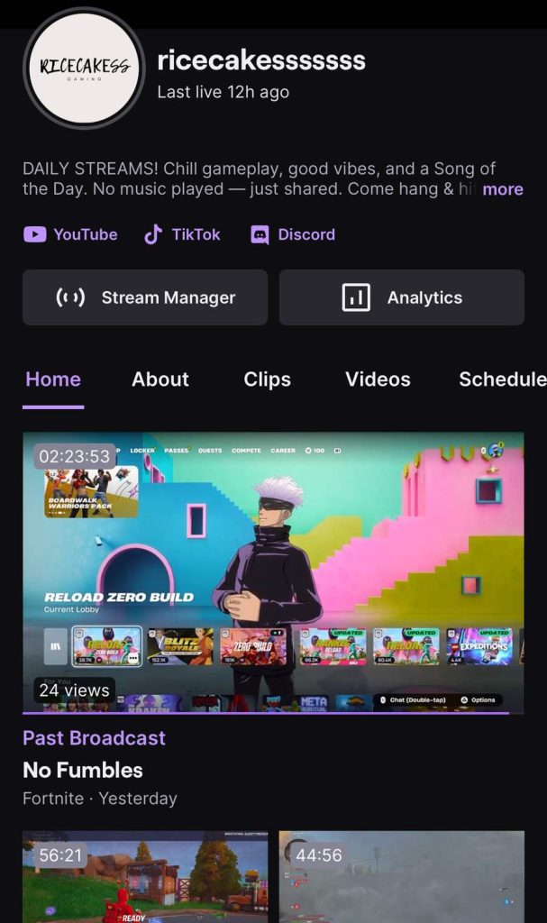 ricecakesssssss_Twitch_2