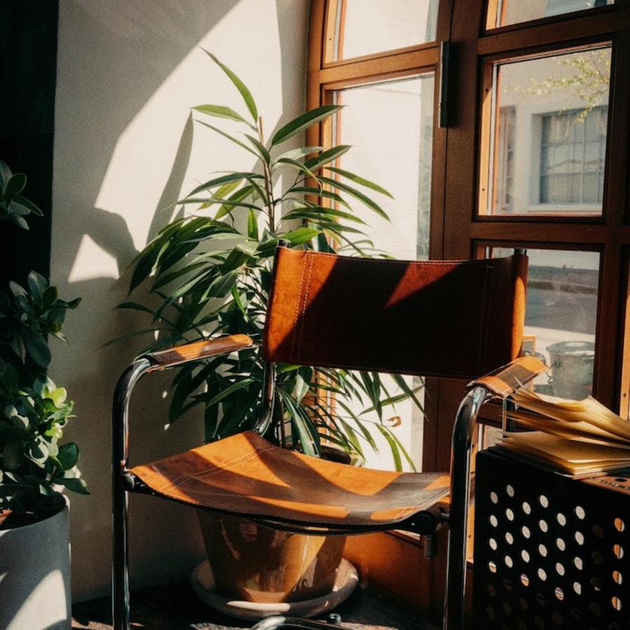 Dave-Curl-Casual-Business-Workspace